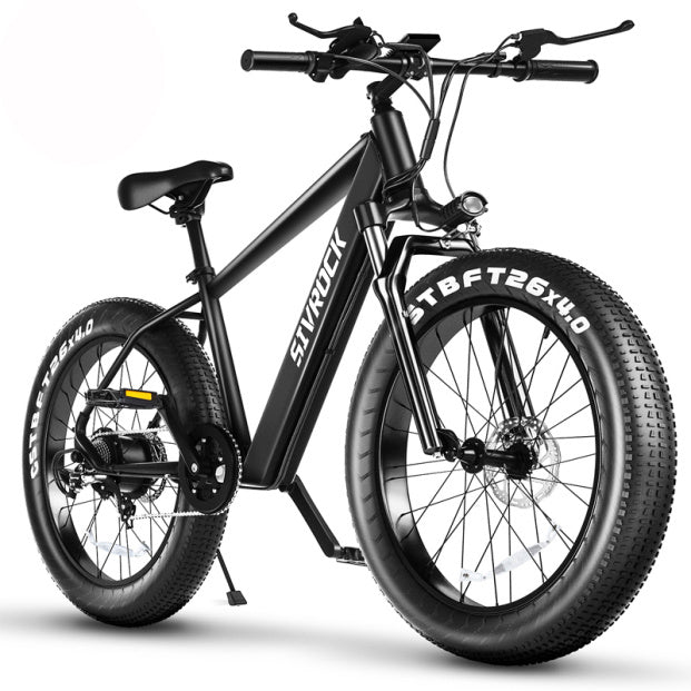 Professional Electric Bike For Adults, 26