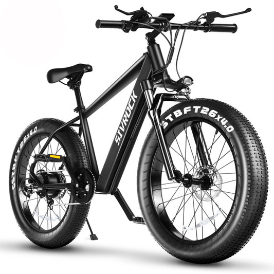 Professional Electric Bike For Adults, 26