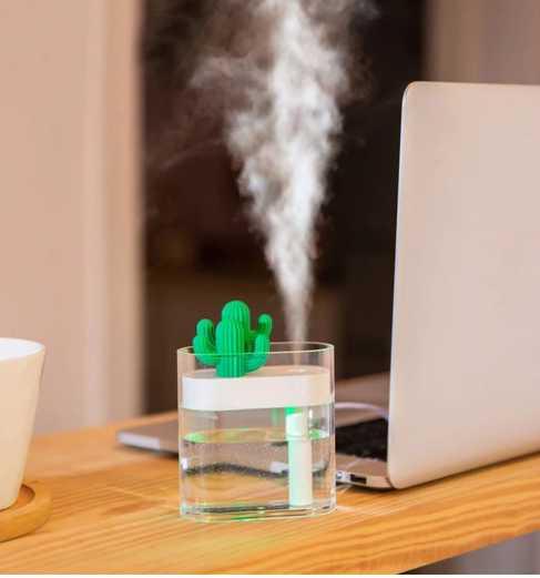 Cactus Portable Humidifier StoreToBuyNow