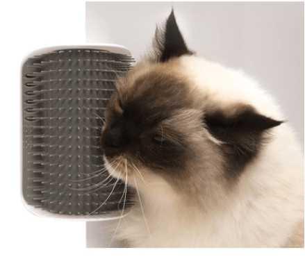 Cat Self-Grooming Brush - Wall-Mounted Pet Rubbing Device StoreToBuyNow