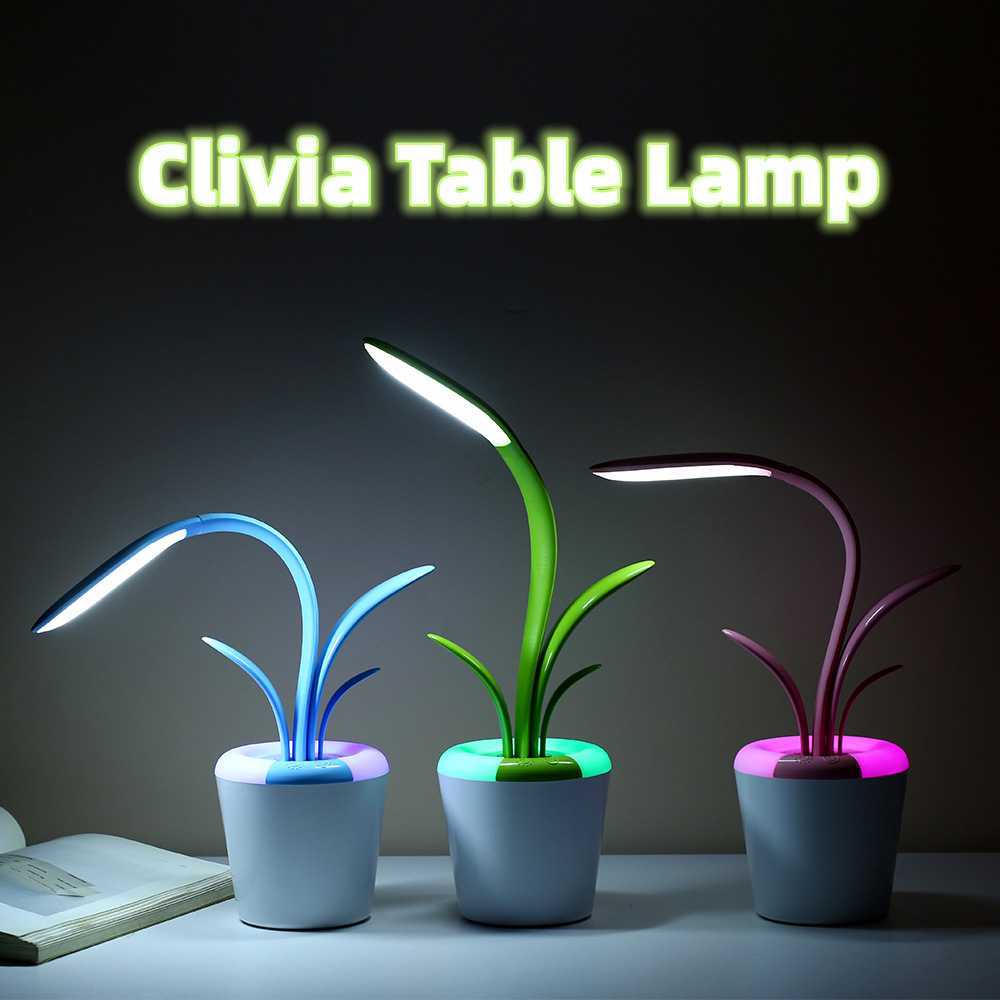 Clivia Table Lamp StoreToBuyNow