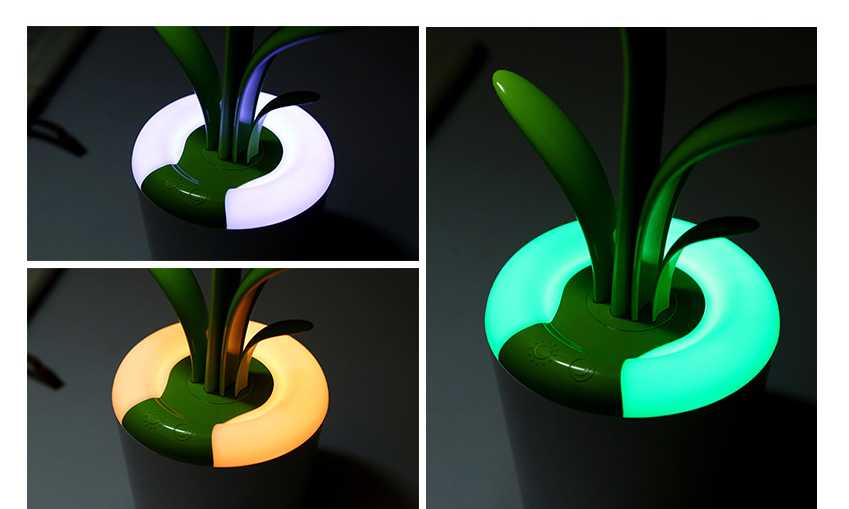 Clivia Table Lamp StoreToBuyNow