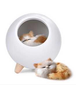 Enchanting Glow: The Adorable Kitten Inside Lamp StoreToBuyNow