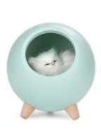 Enchanting Glow: The Adorable Kitten Inside Lamp StoreToBuyNow