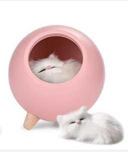 Enchanting Glow: The Adorable Kitten Inside Lamp StoreToBuyNow