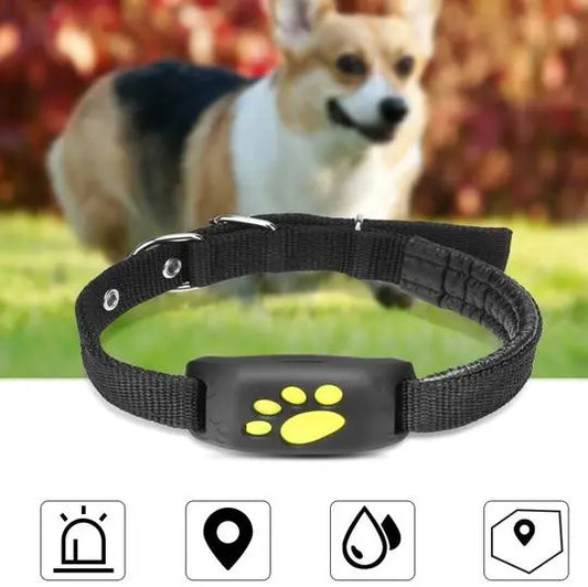 GPS Pet Tracker StoreToBuyNow