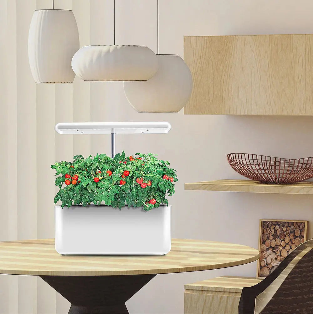 HydroGrow: The Intelligent Hydroponic Planting Machine IGS-10 StoreToBuyNow