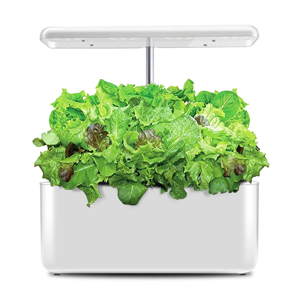 HydroGrow: The Intelligent Hydroponic Planting Machine IGS-10 StoreToBuyNow