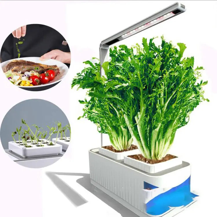 Multifunctional Intelligent Plant Growth Light StoreToBuyNow