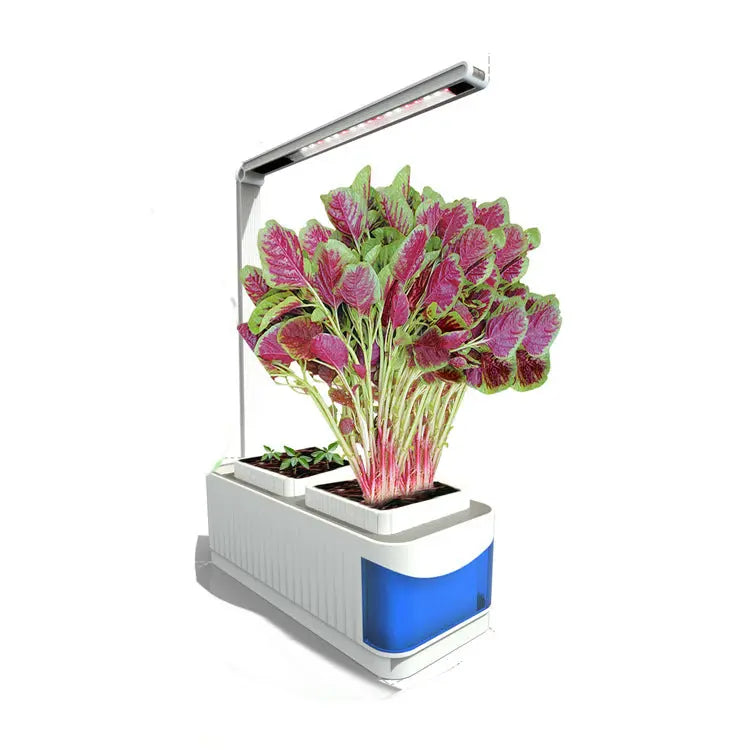 Multifunctional Intelligent Plant Growth Light StoreToBuyNow