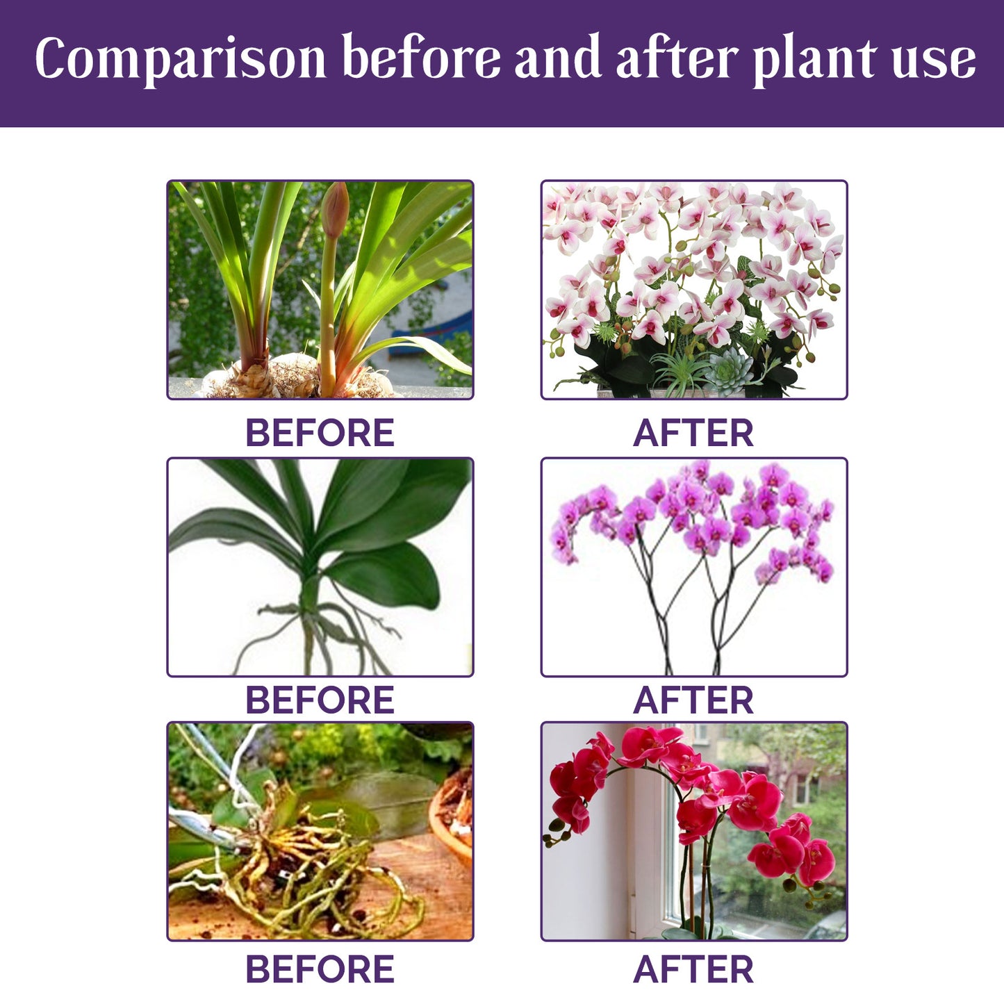 Plant Flower Organic Foliar Fertilizer Growth Nutrient Solution StoreToBuyNow