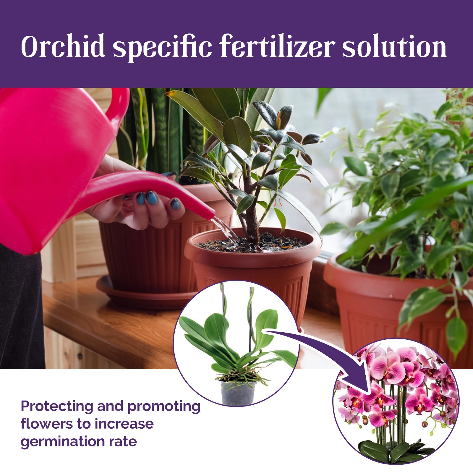 Plant Flower Organic Foliar Fertilizer Growth Nutrient Solution StoreToBuyNow