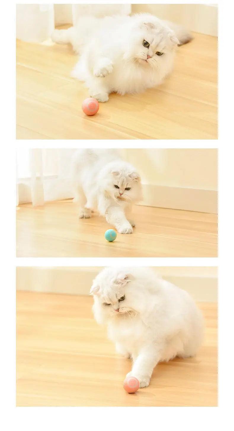 Smart cat toy: automatic spinning ball with gravitational fun. StoreToBuyNow