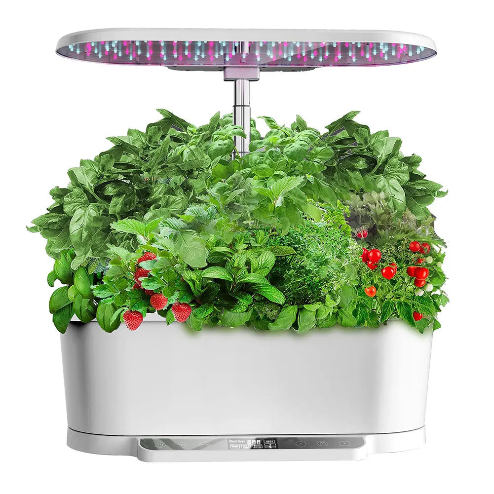 TUYA APP Hydroponics Machine With LCD StoreToBuyNow