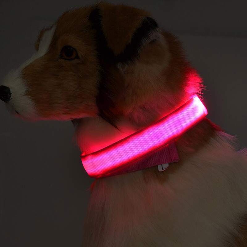 Nylon LED Pet Dog Luminous Collar StoreToBuyNow