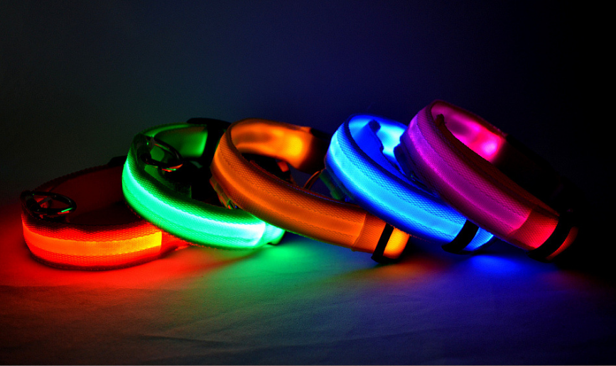 Nylon LED Pet Dog Luminous Collar StoreToBuyNow