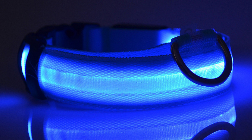 Nylon LED Pet Dog Luminous Collar StoreToBuyNow