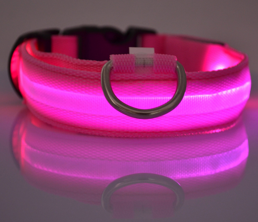 Nylon LED Pet Dog Luminous Collar StoreToBuyNow