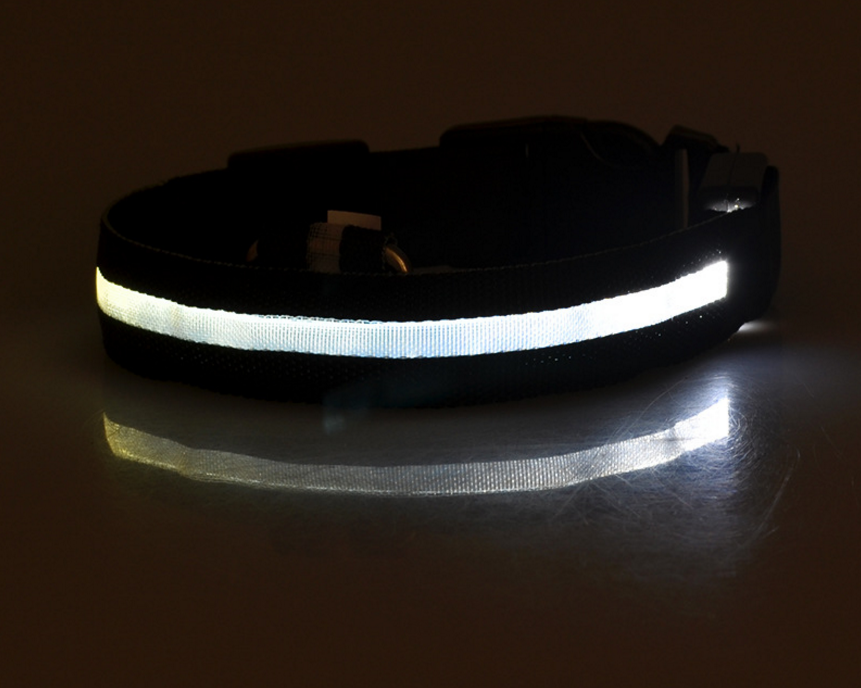 Nylon LED Pet Dog Luminous Collar StoreToBuyNow