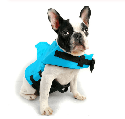 Summer Shark Pet Life Jacket StoreToBuyNow