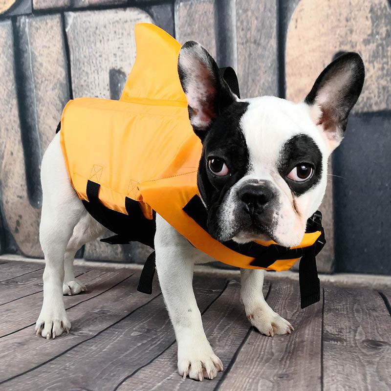 Summer Shark Pet Life Jacket StoreToBuyNow